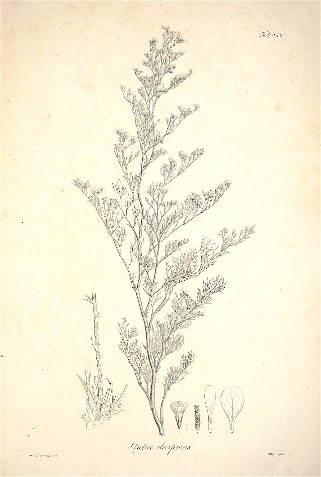 n81_w1150