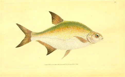 n134_w1150