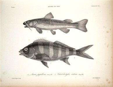 n45_w1150