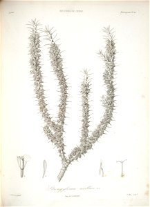n120_w1150