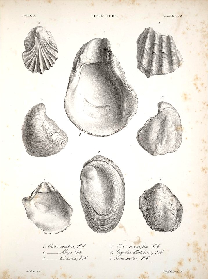 n134_w1150