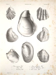 n134_w1150