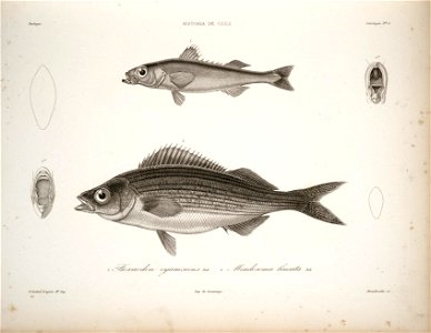 n44_w1150