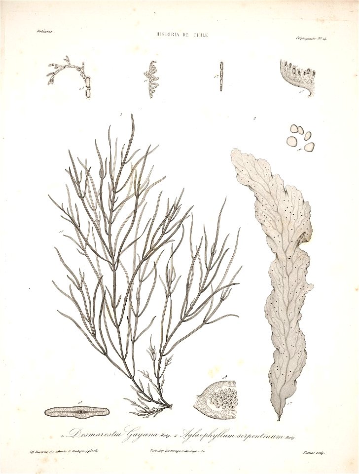 n179_w1150