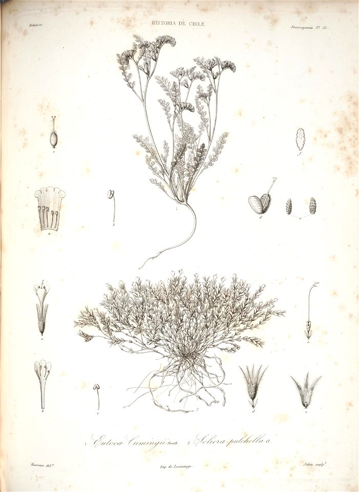 n134_w1150