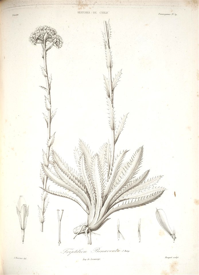 n119_w1150