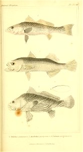 n202_w1150