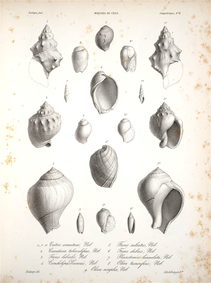 n133_w1150