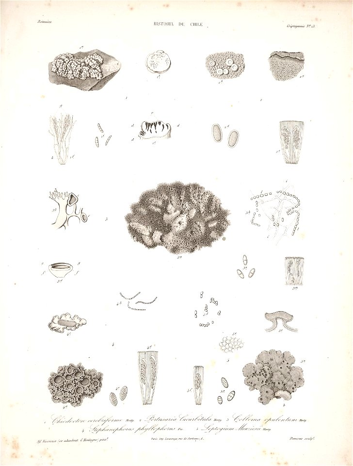 n178_w1150