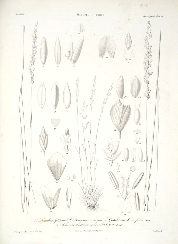 n163_w1150