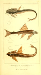n380_w1150