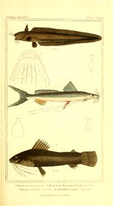 n378_w1150