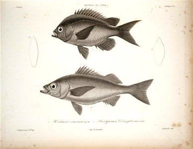 n42_w1150