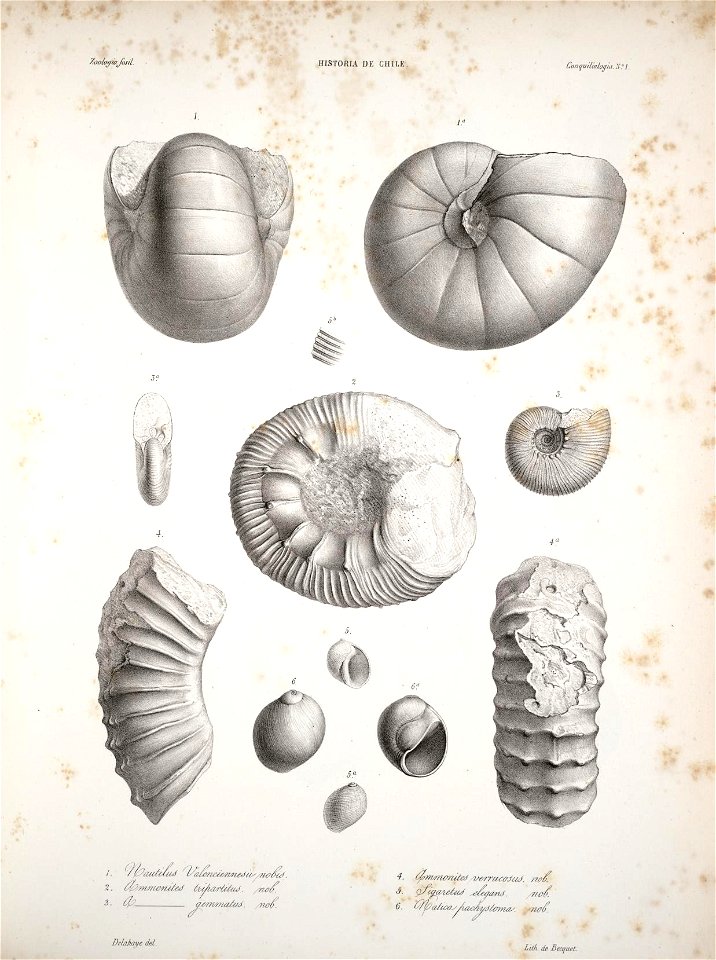 n131_w1150