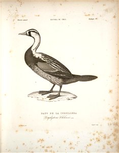 n26_w1150