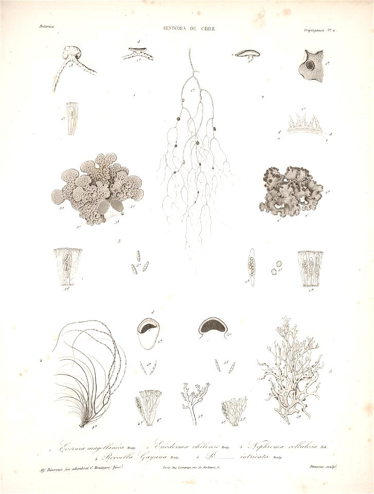 n176_w1150