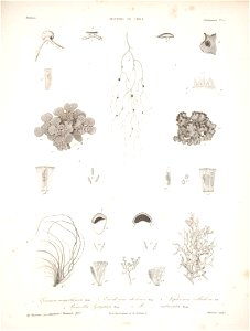 n176_w1150