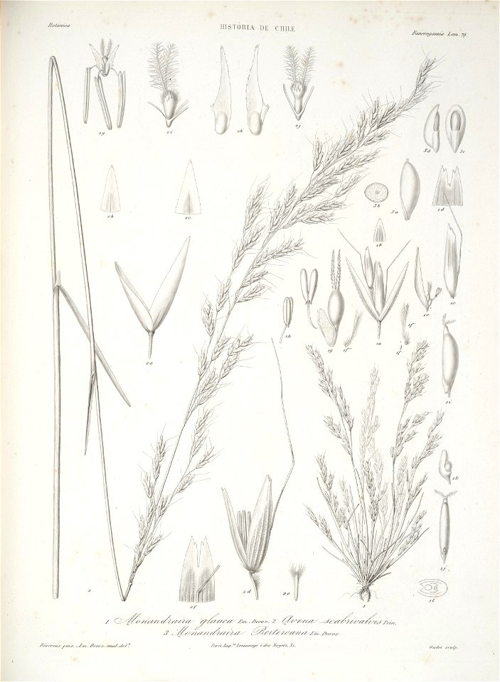 n161_w1150