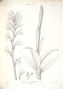 n146_w1150