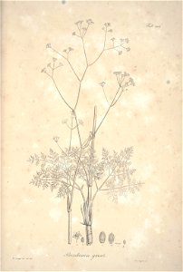 n163_w1150