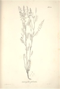 n120_w1150