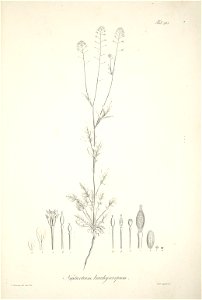 n90_w1150
