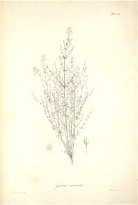 n45_w1150
