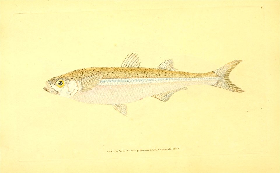 n122_w1150