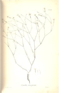 n264_w1150