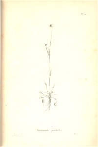 n178_w1150