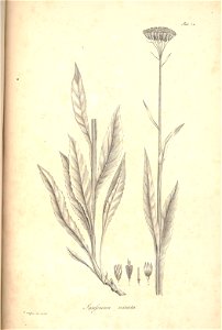 n109_w1150