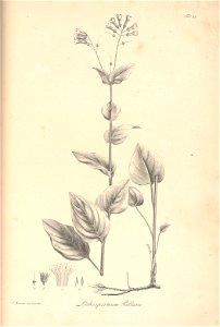 n60_w1150