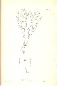 n226_w1150