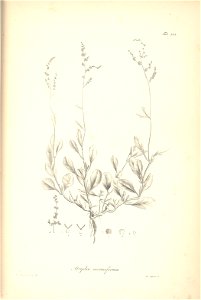 n211_w1150