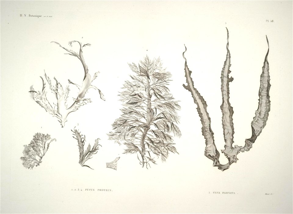 n57_w1150