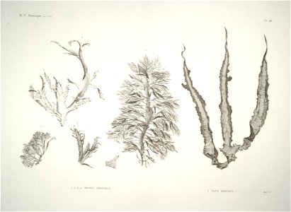 n57_w1150