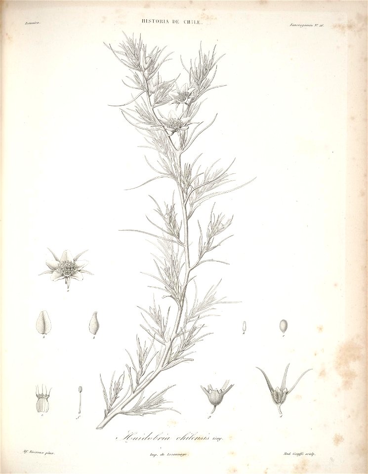 n104_w1150