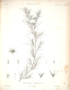 n104_w1150