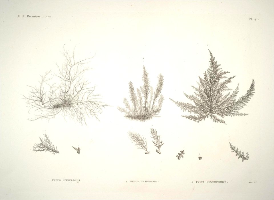 n56_w1150