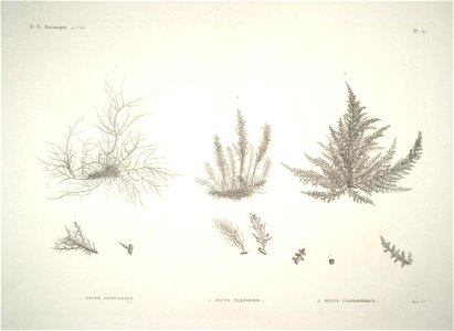 n56_w1150