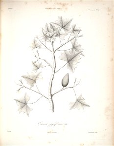 n103_w1150