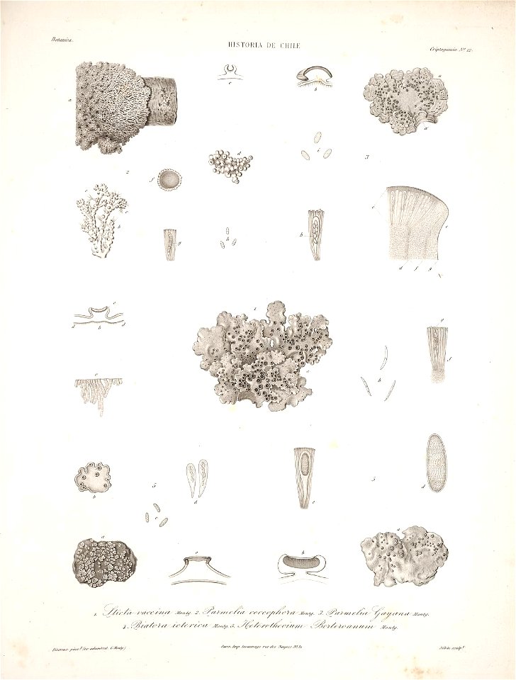 n177_w1150
