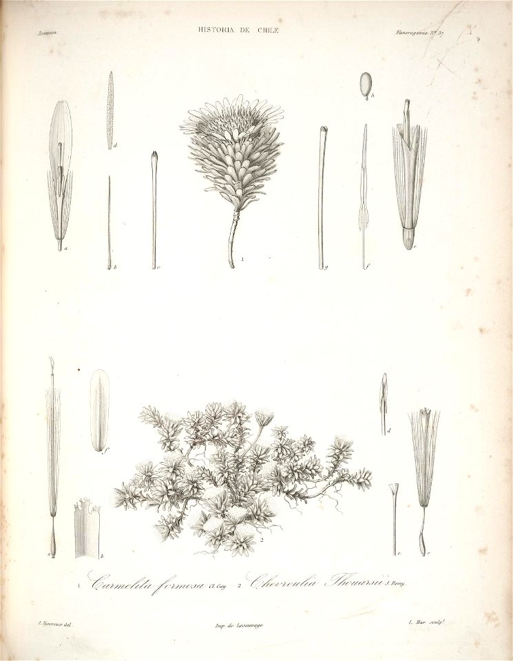 n117_w1150