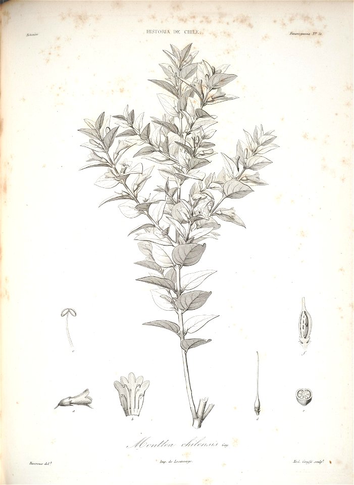 n131_w1150