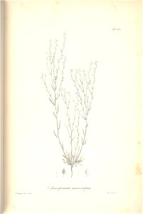 n250_w1150