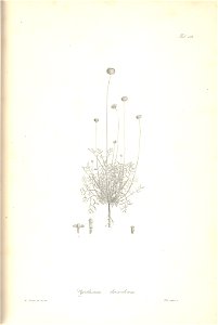 n220_w1150