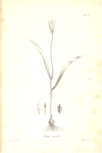 n202_w1150