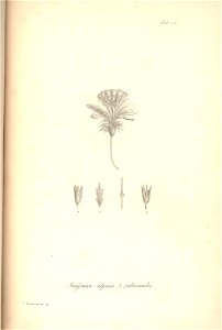 n110_w1150