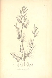 n80_w1150