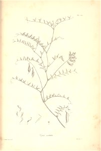 n175_w1150